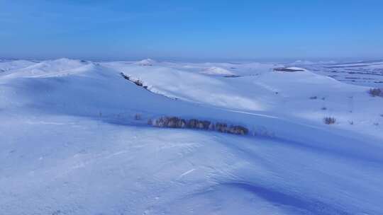 广阔无垠的雪覆盖的大地全景