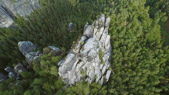 易北河砂岩山茂密森林环绕下的Bastei