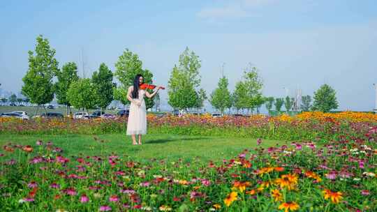 美女花海中拉小提琴