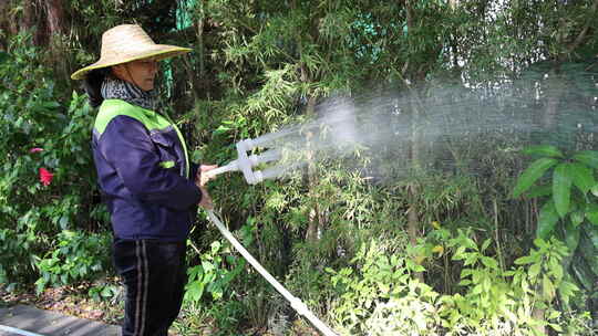 公园内工人用水管给绿植浇水