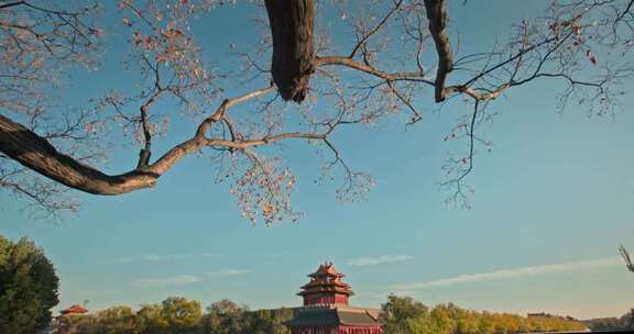 北京秋天秋季的故宫角楼