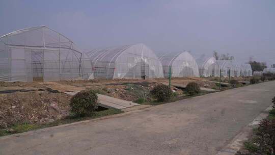 蔬菜大棚种植基地全景