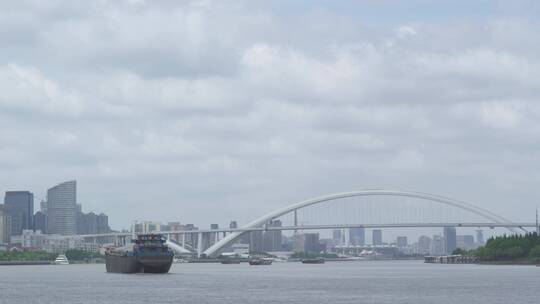 从徐汇滨江看黄浦江上的卢浦大桥