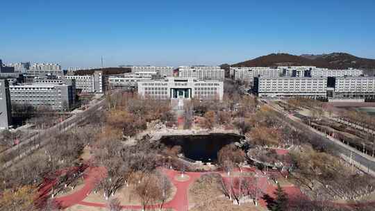 山东青年政治学院2