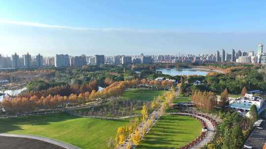 上海世纪公园秋天风景