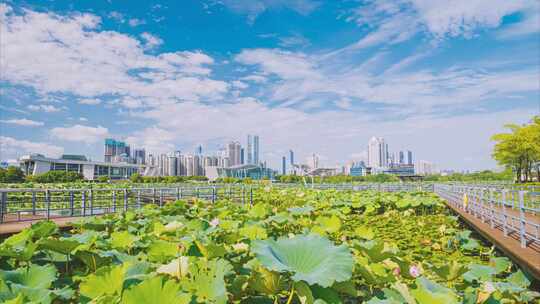 中国武汉两江四岸城市地标风光