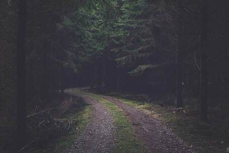 福建武夷山晨 雾 自然 福建 武夷山 福建武夷山晨 雾 自然 福建 武夷山