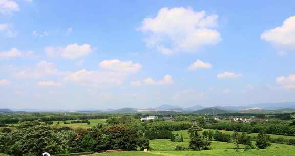 江苏省宜兴阳羡生态茶园茶田 蓝天白云背景