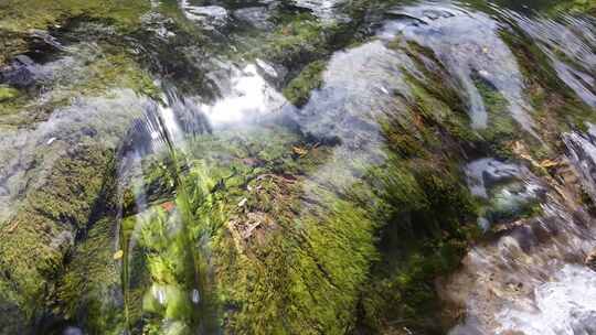 九寨沟箭竹海瀑布水中青苔流水岩石秋天水景