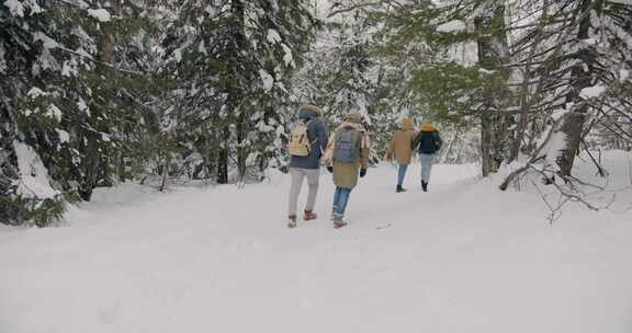 下雪，徒步旅行，朋友，情侣