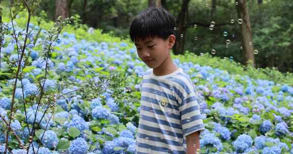 可爱的男孩在花海赏花 唯美升格慢镜