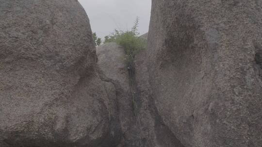 巨石崇拜生殖崇拜考古现场LOG视频素材