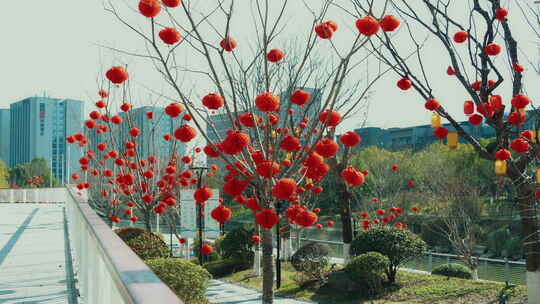 余杭未来城城市公园挂满红灯笼的树木