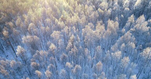 航拍大兴安岭冻土地带雪原雪林夕照