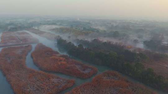 西溪湿地晨雾航拍