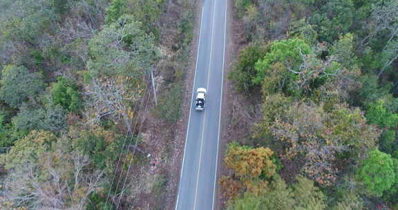 在森林公路上前行的汽车航拍