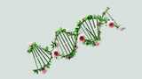 生物技术DNA基因高清在线视频素材下载