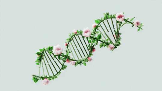 生物技术DNA基因