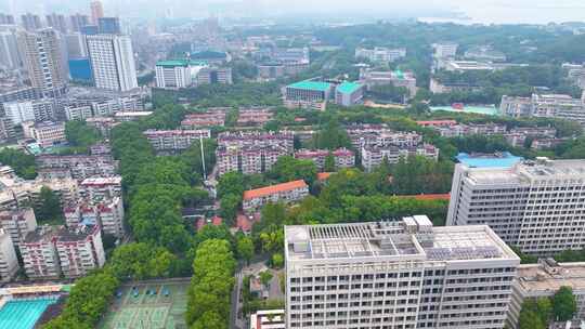 湖北武汉大学信息学部航拍校园高校学校风景