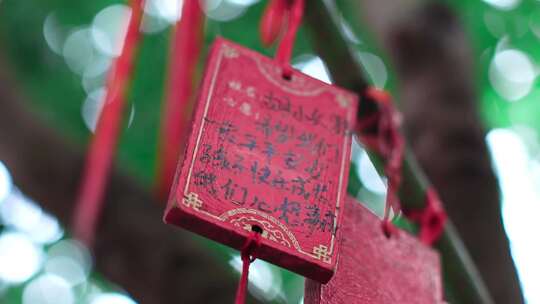 高清实拍寺庙佛教寺院