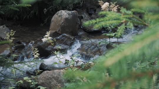 流淌的河水