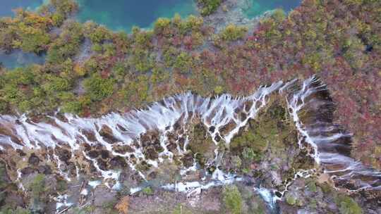 航拍九寨沟秋天诺日朗瀑布镜海彩林水景秋景