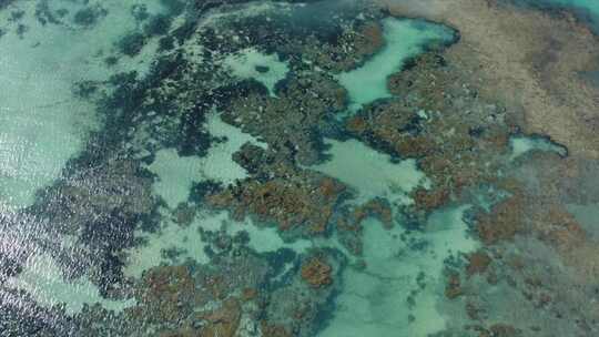 马塞约海岸，梦幻七彩礁石上美丽晶莹剔透的水域。
巴西马塞约4k
艾尔