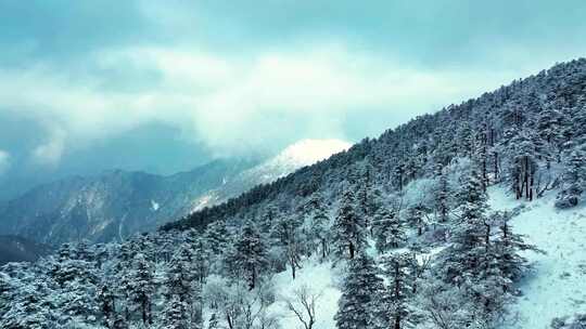 航拍雪山秦岭雪松雪景