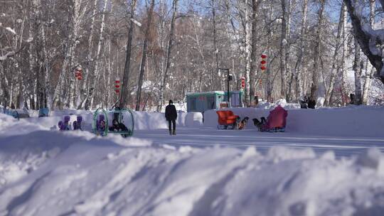 阿勒泰桦林公园雪景