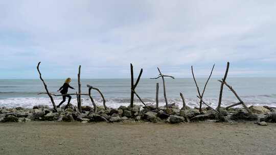 Hokitika海滩浮木标志反对新西兰西