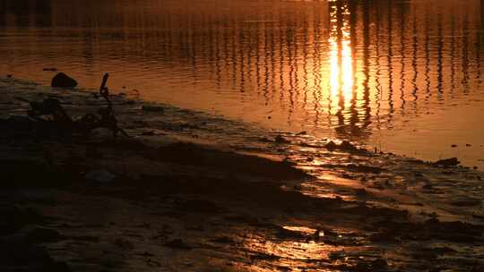 东莞东江大桥夕阳下波光粼粼的水面