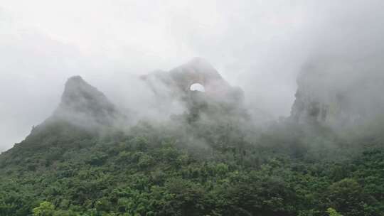 雾气笼罩的茂密山林全景