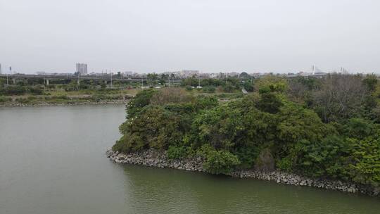 广东东江江岸湿地航拍视频素材模板下载