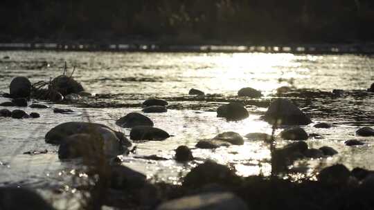 水 小溪 流动 河流 蜿蜒 清澈