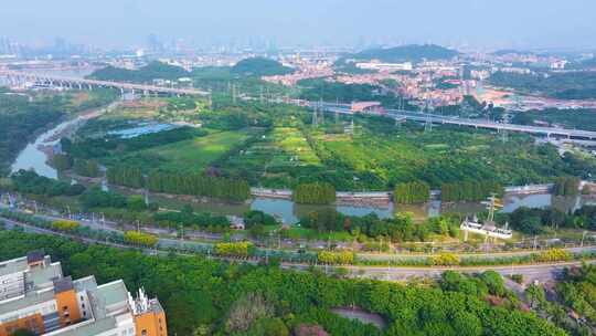 广州大学城航拍校园广州番禺区广东城市风景