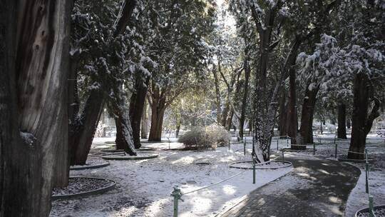 雪后皇家园林雪撒落