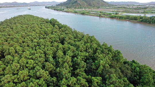 4k森林资源防风固沙水松林航道航拍视频素材模板下载