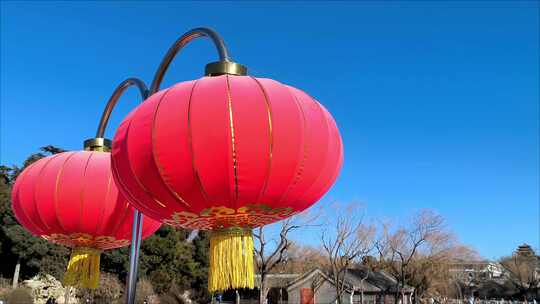 节日氛围中国红灯笼