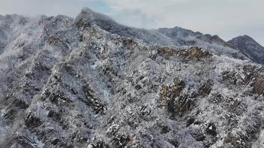 高山雪后云海航拍