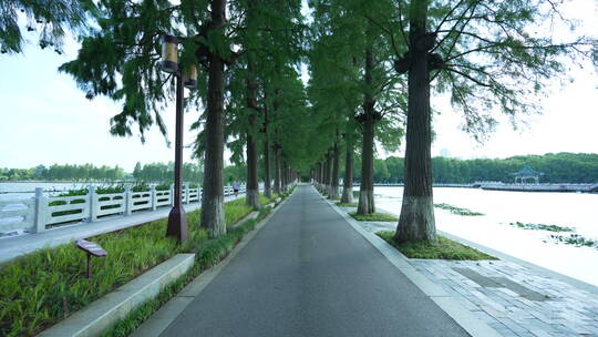 武汉东湖生态旅游风景区