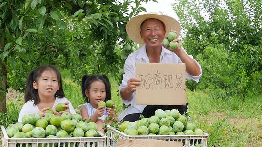 奈李产地素材视频素材模板下载