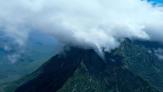 大自然高山 云雾森林02
