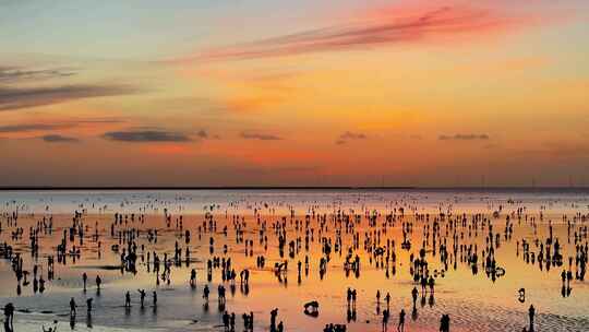 大海海边日出日落