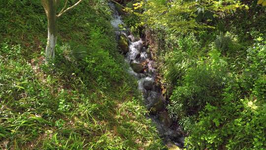 山涧溪流水流