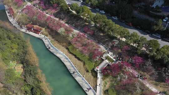 匡河桃花高铁航拍