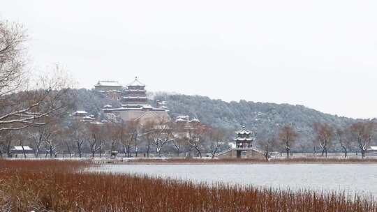 园林雪景