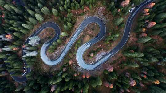 森林山地盘山公路