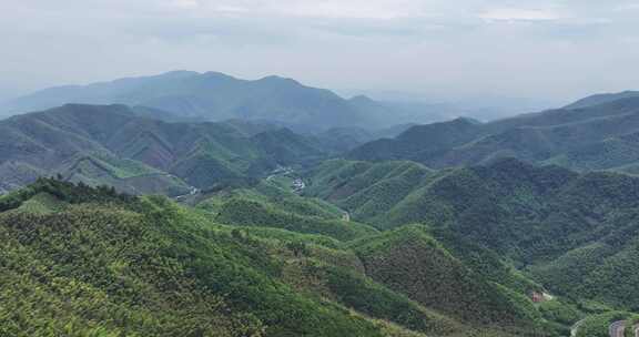 中国浙江杭州径山竹山竹林竹海大气治愈