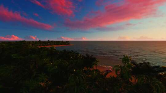 清晨海岸、椰子树、滨海、海边度假视频素材模板下载
