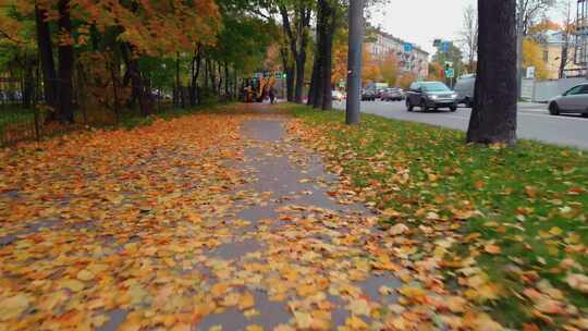 秋天公园的地面落叶